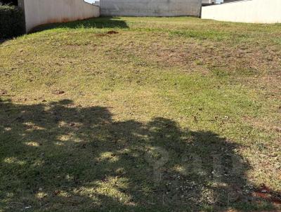 imagem-miniatura
